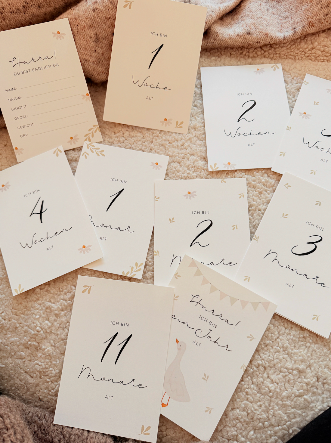 Meilensteinkarten Baby