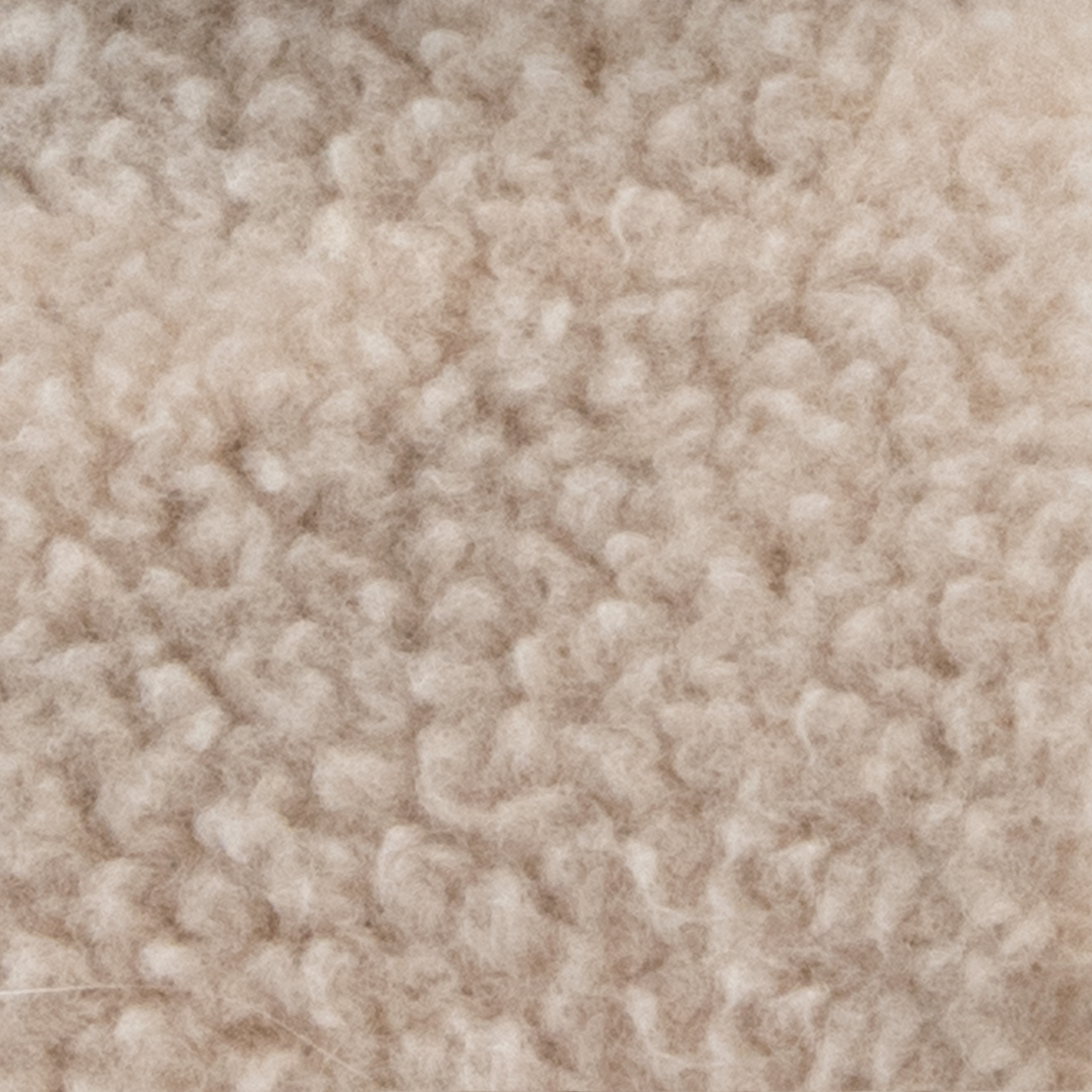 Gamuza Classic teddy beige 